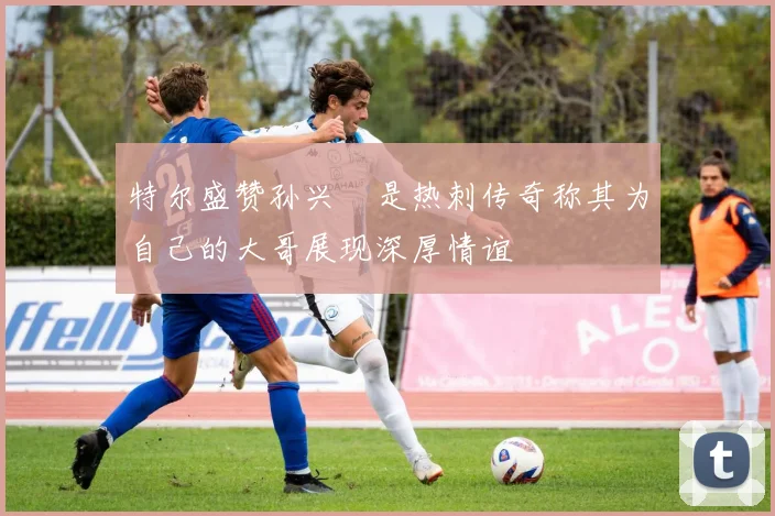 特尔盛赞孙兴慜是热刺传奇称其为自己的大哥展现深厚情谊