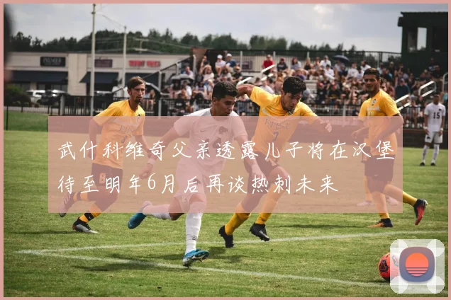 武什科维奇父亲透露儿子将在汉堡待至明年6月后再谈热刺未来