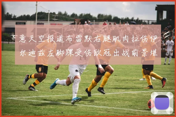 意天空报道布雷默右腿肌肉拉伤伊尔迪兹左脚踝受伤欧冠出战前景堪忧