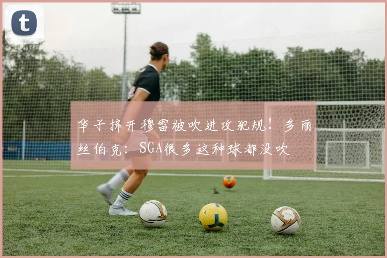 华子挤开穆雷被吹进攻犯规！多丽丝伯克：SGA很多这种球都没吹