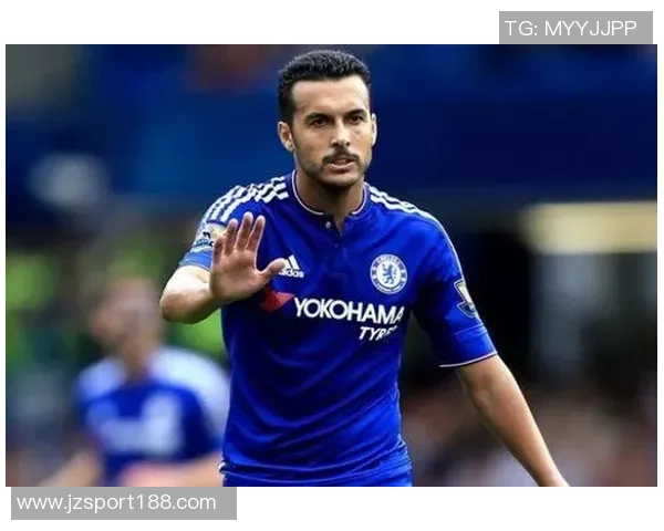 佩德罗内托与佩德罗贡萨尔维斯因伤缺席葡萄牙国家队大名单调整